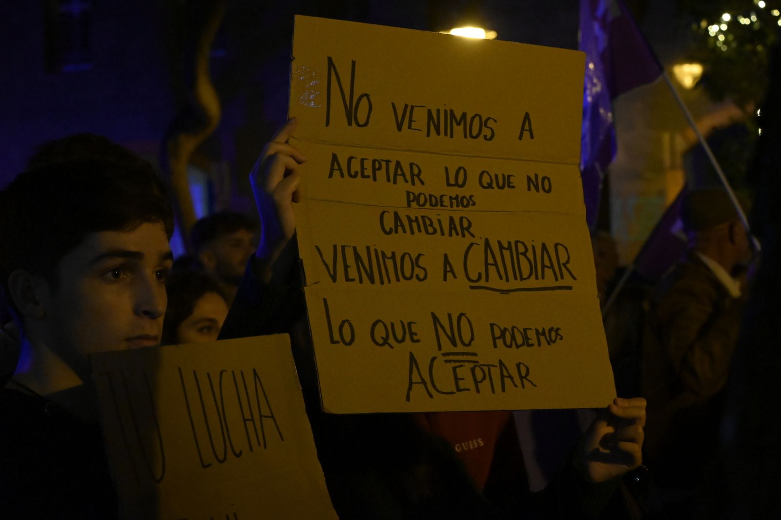Manifestación del 25N en Imágenes.