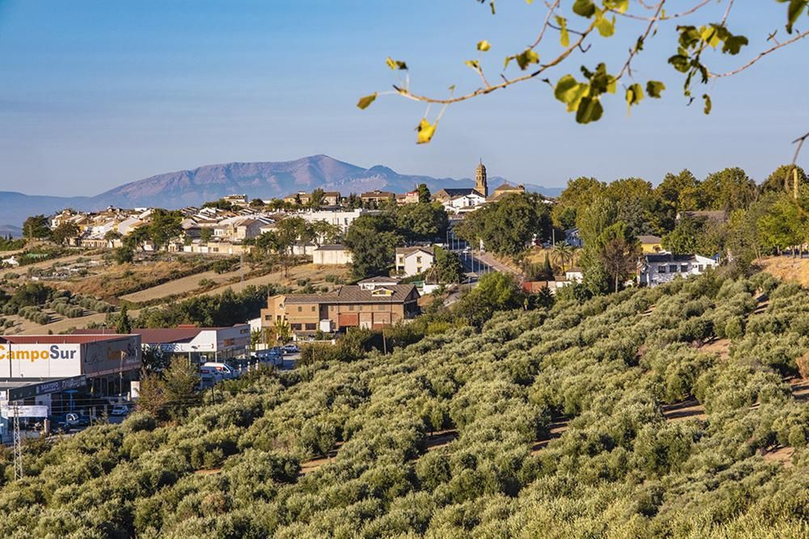 La Catedral de Baeza, primera sede episcopal de Jaén