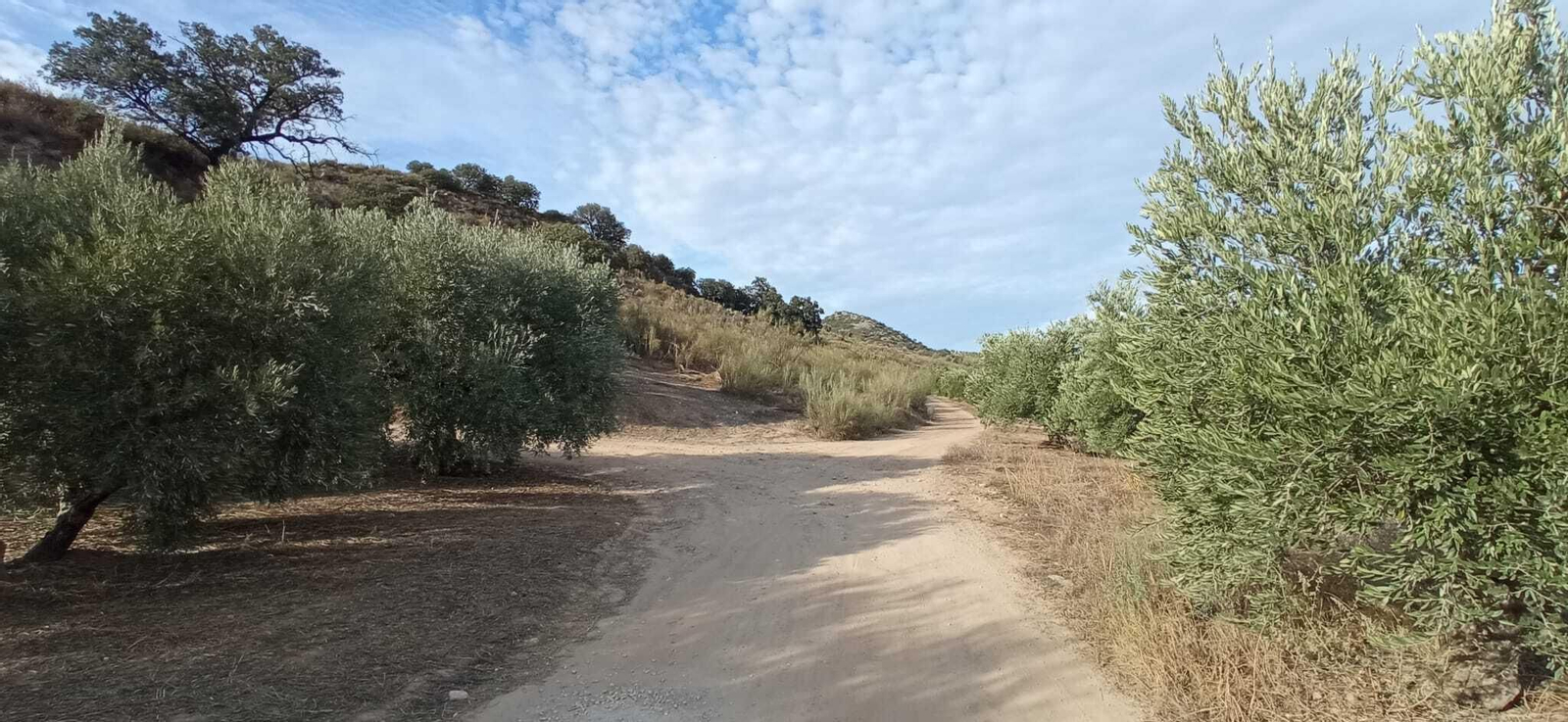 Las imágenes de la Ruta Zagrilla Baja - Esparragal - Zagrilla Baja