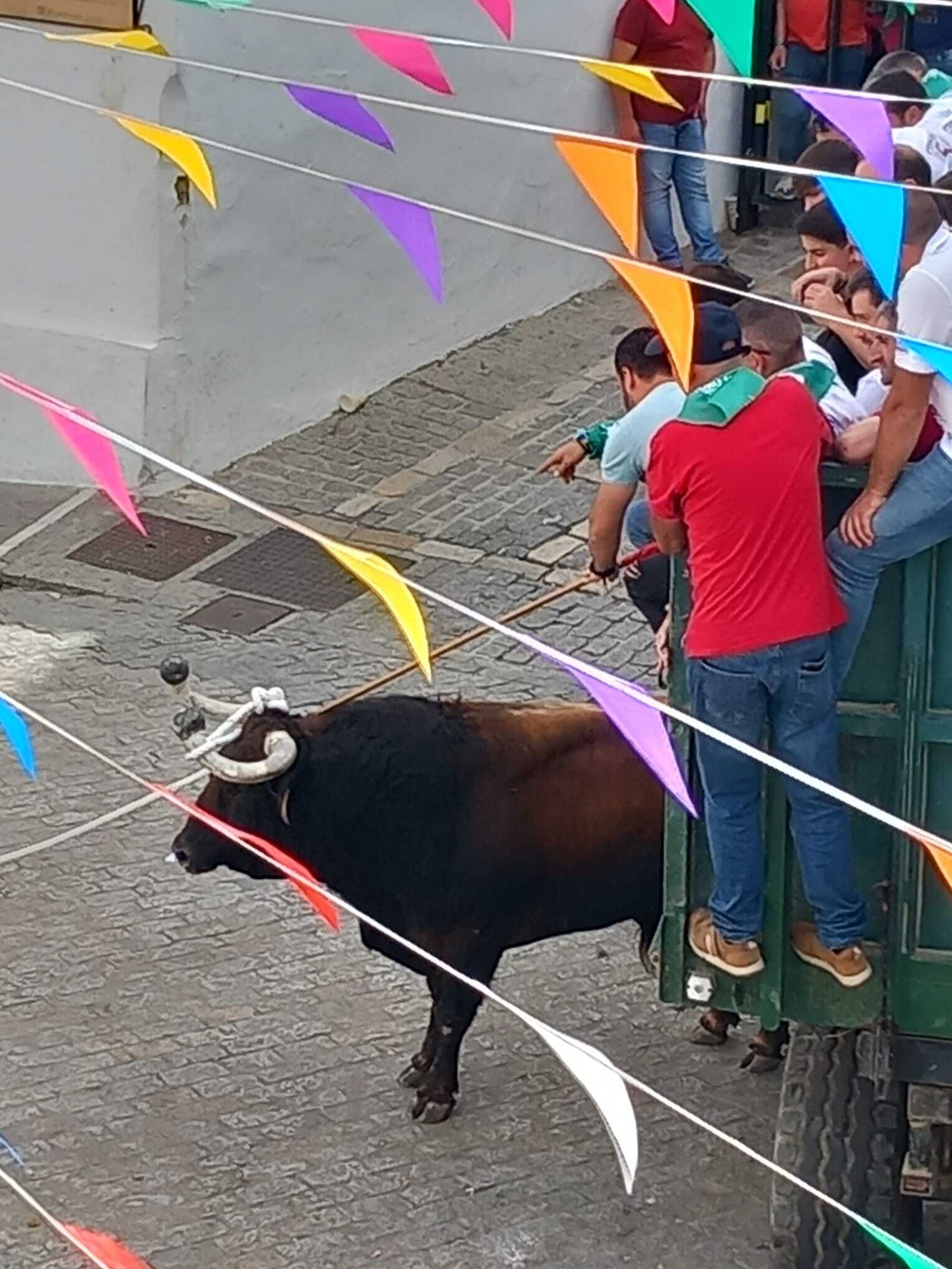 Imágenes de la fiesta del Toro Embolao en Vejer