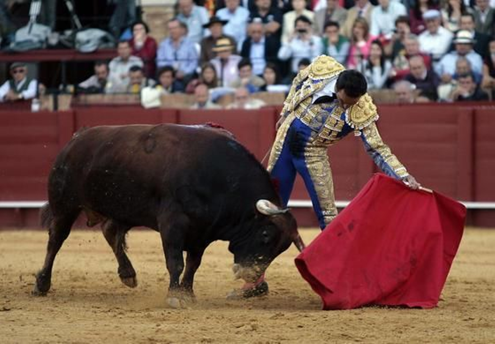 Foto: Juan Carlos Muñoz