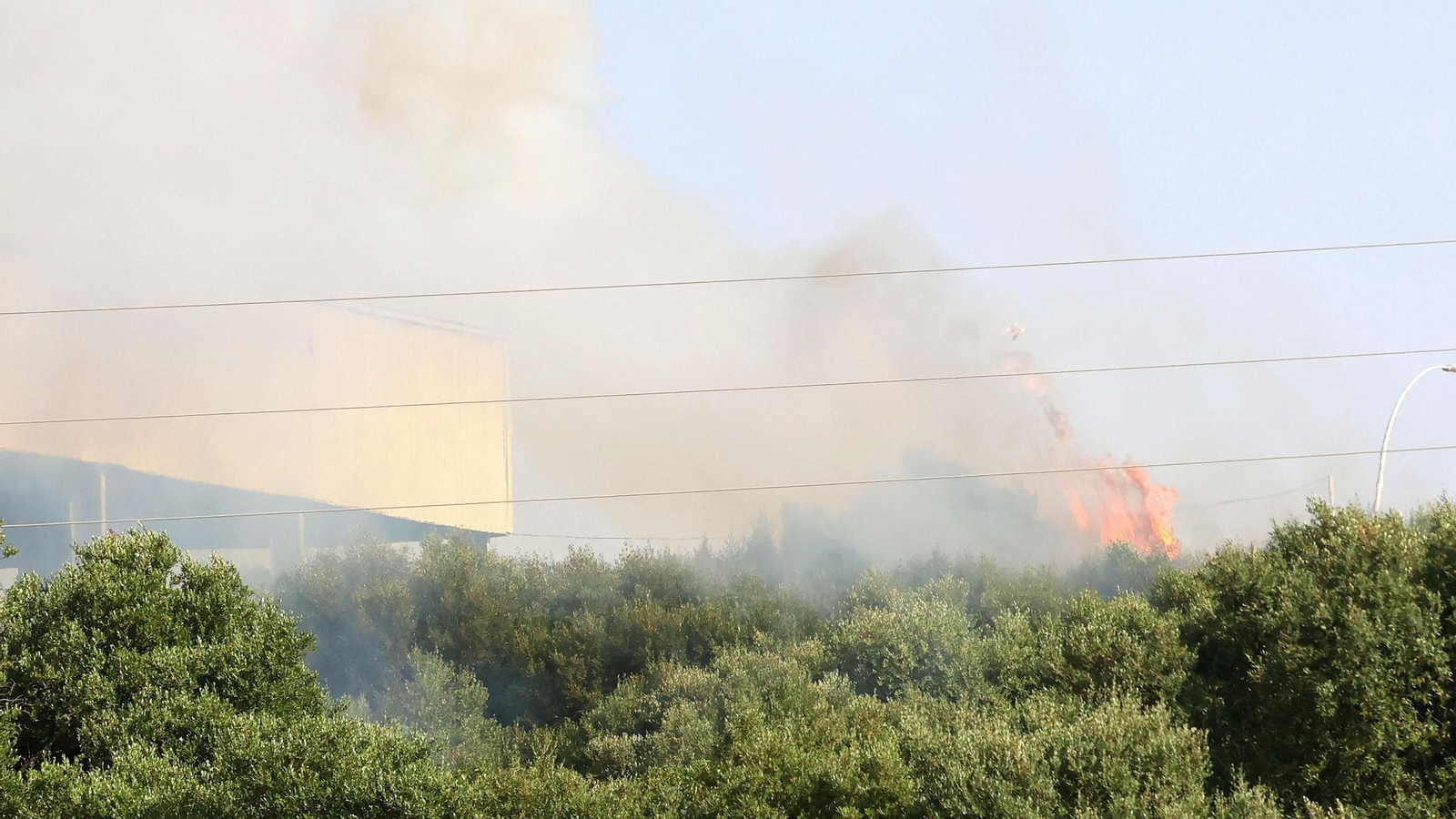 Imágenes del incendio en la planta de Las Calandrias en Jerez