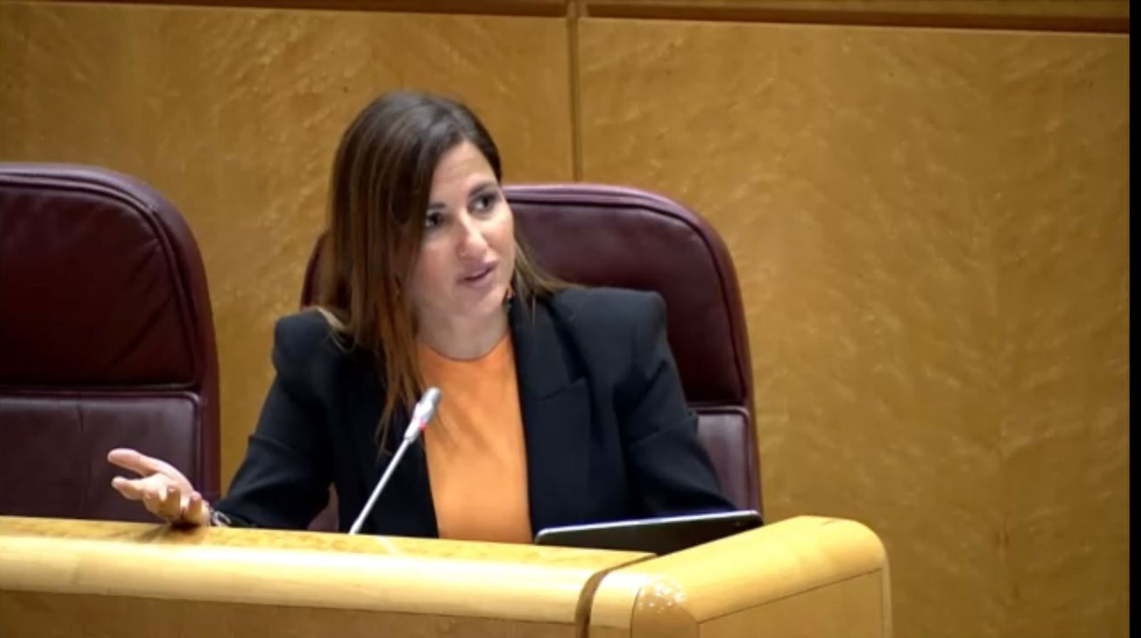 Inés Plaza, en el Senado.