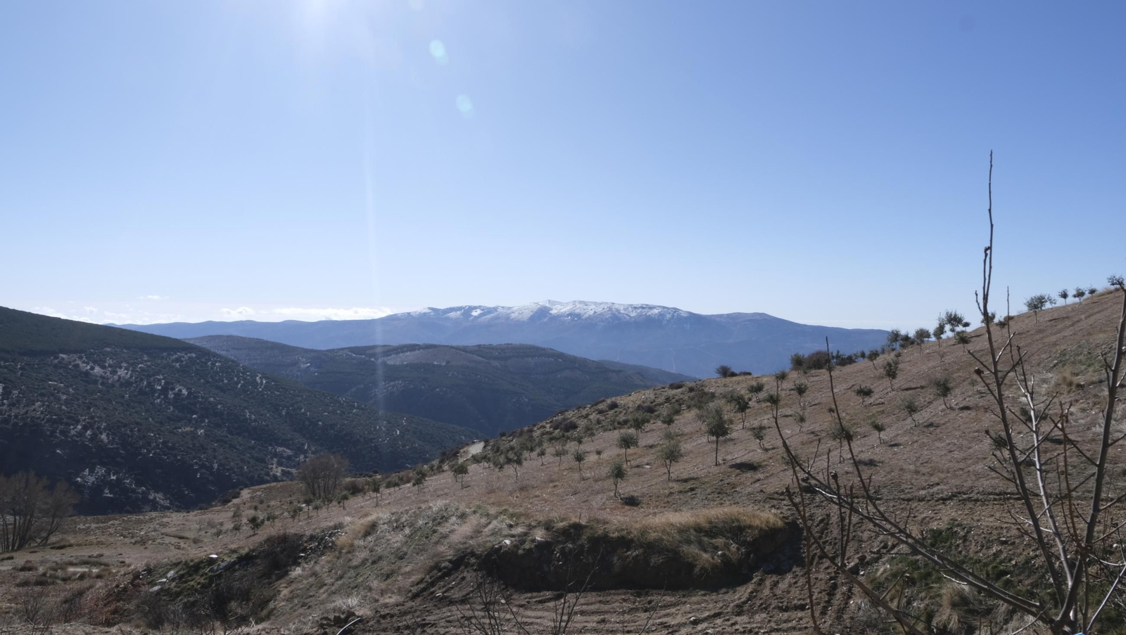 La trufa negra, el tesoro oculto de Laujar, en imágenes