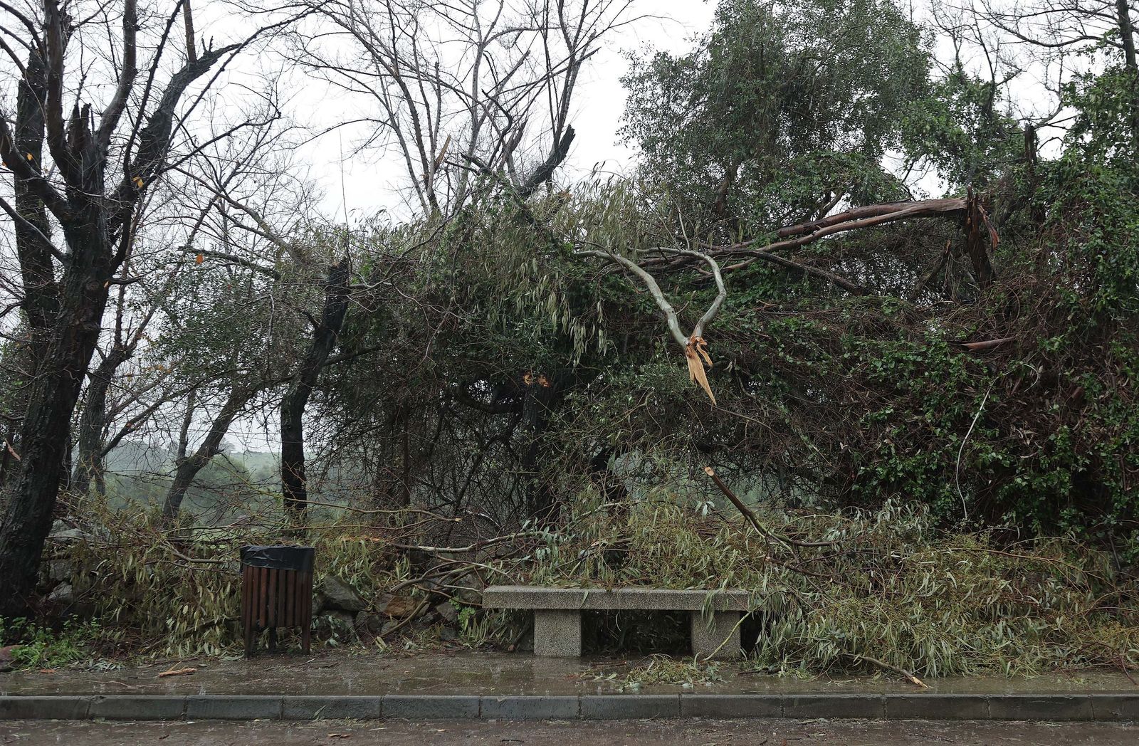 Fotos de los efectos de la borrasca Leonardo en Algeciras