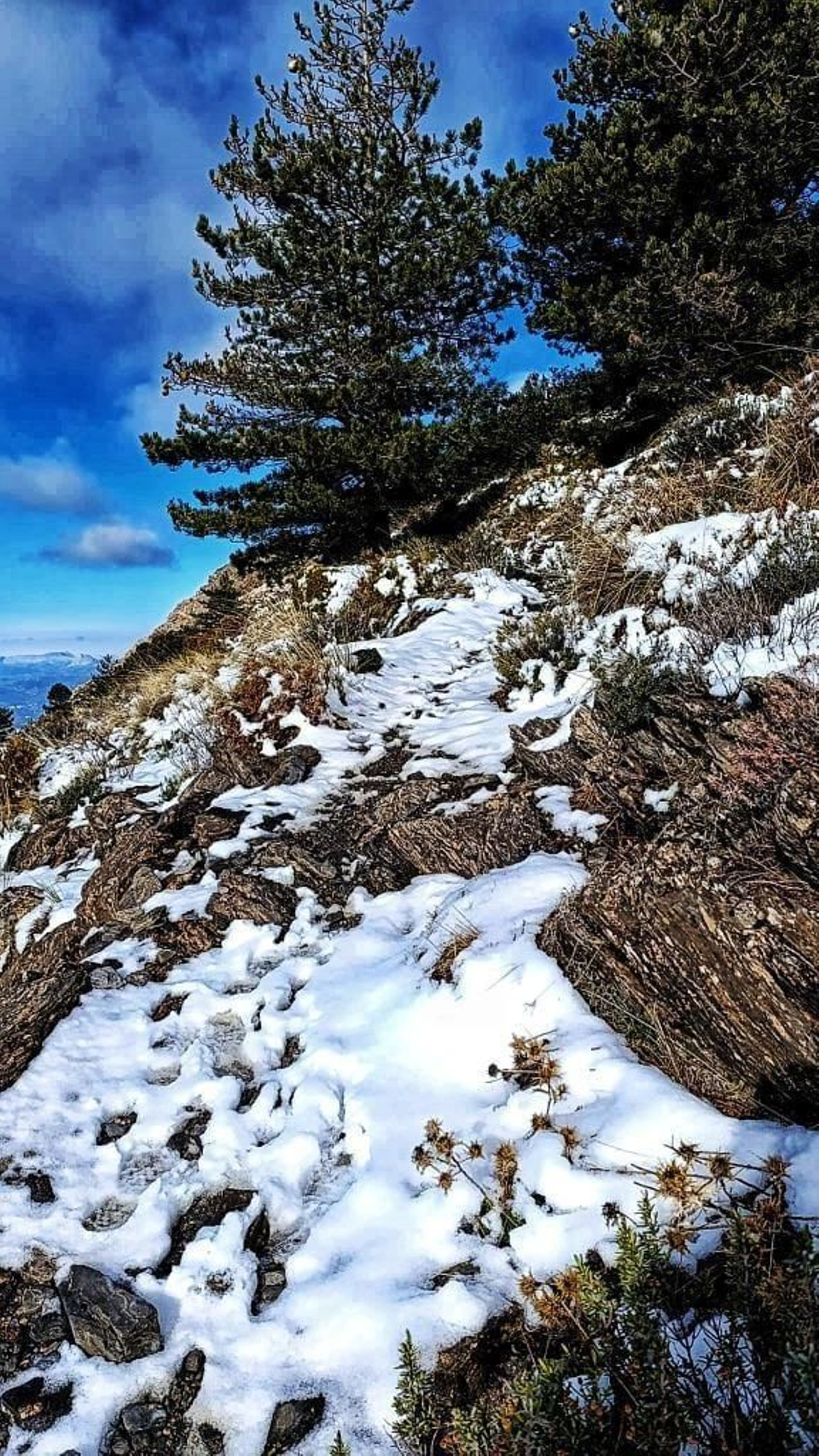 Así de nevada luce La Maroma, el punto más alto de Málaga