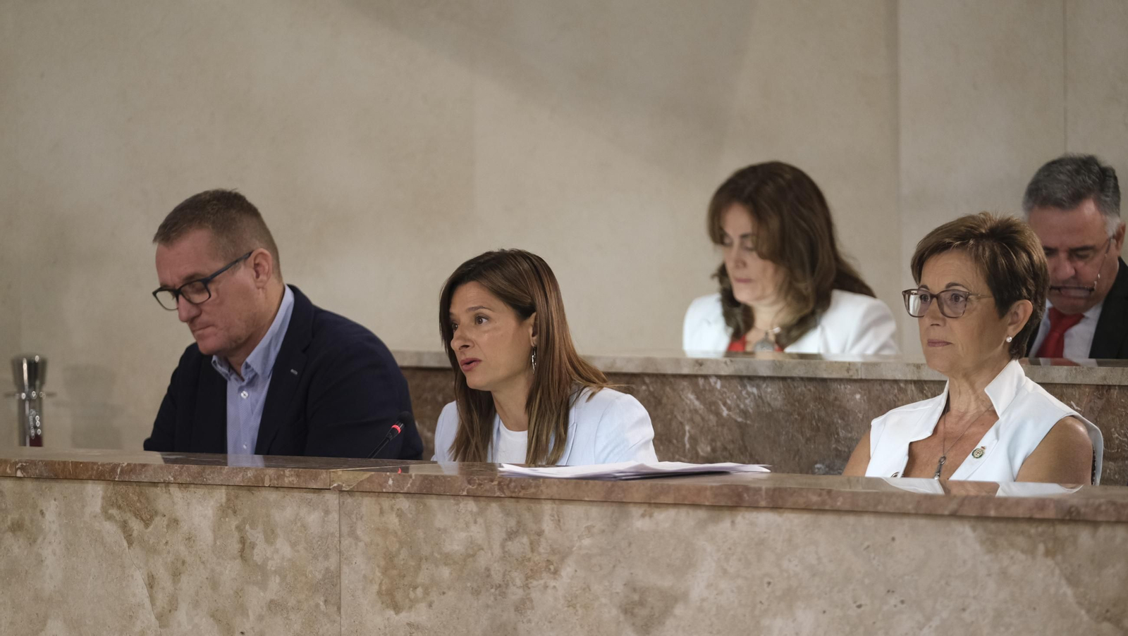 Fátima Herrera, en una sesión plenaria del Ayuntamiento de Almería.