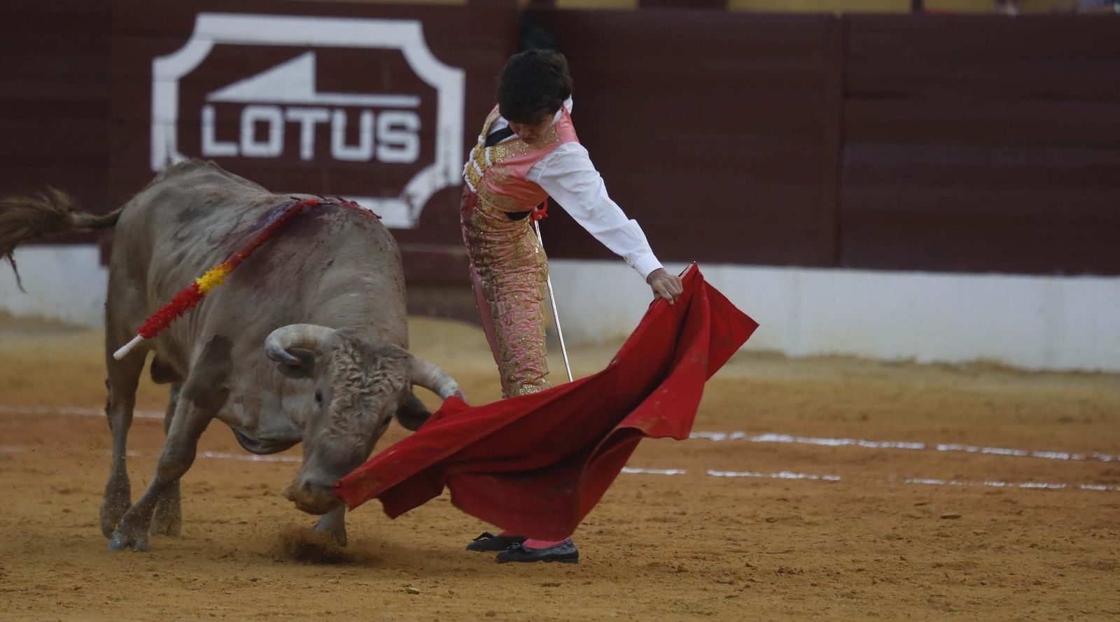 Fotos del triunfo de Manuel Roman y Javier Zulueta con la buena novillada de Núñez de Tarifa que abrió la Feria de La Línea