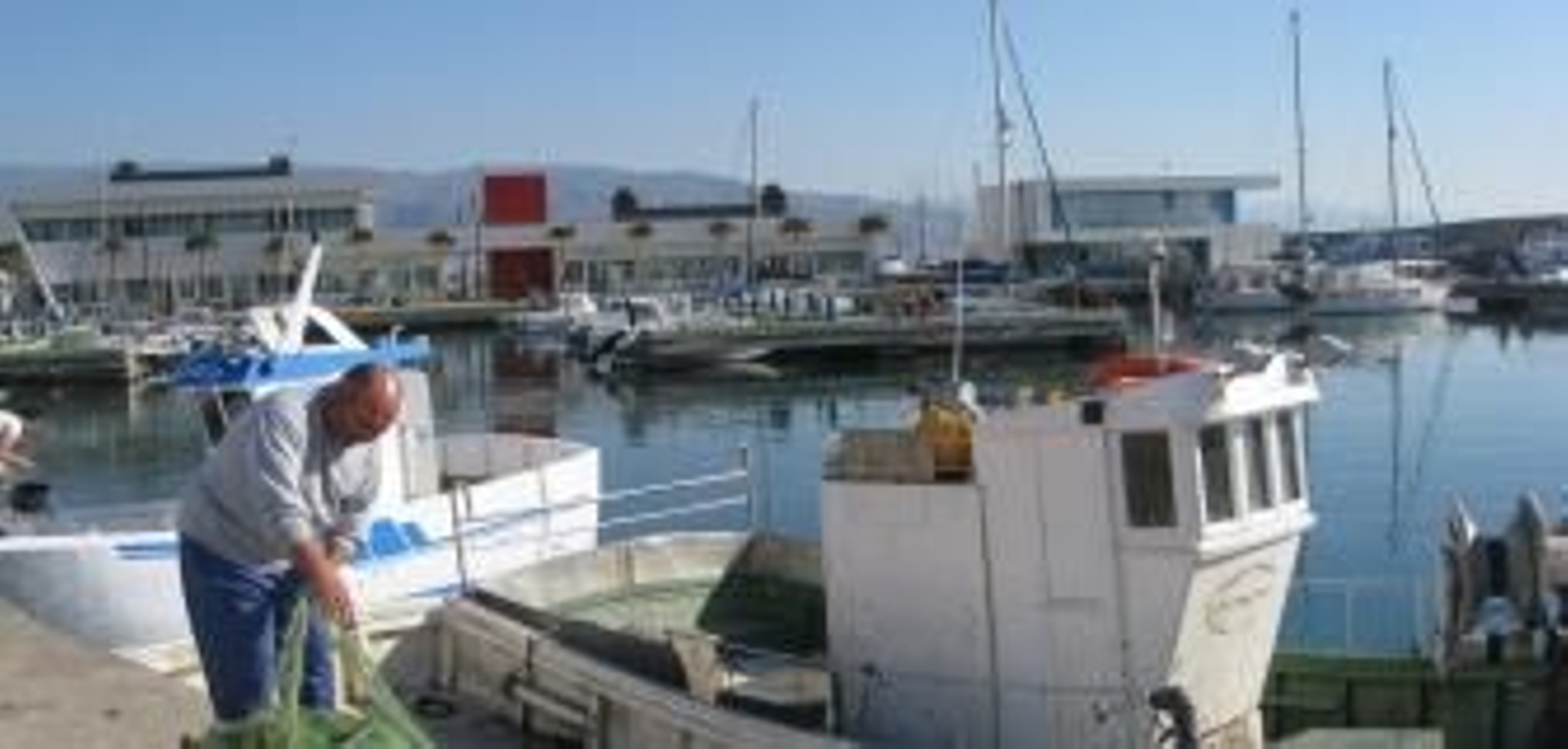 Las capturas excepcionales de caballa, jurel y pez espada incrementan un 130% la descarga de pescado en las lonjas de Almería