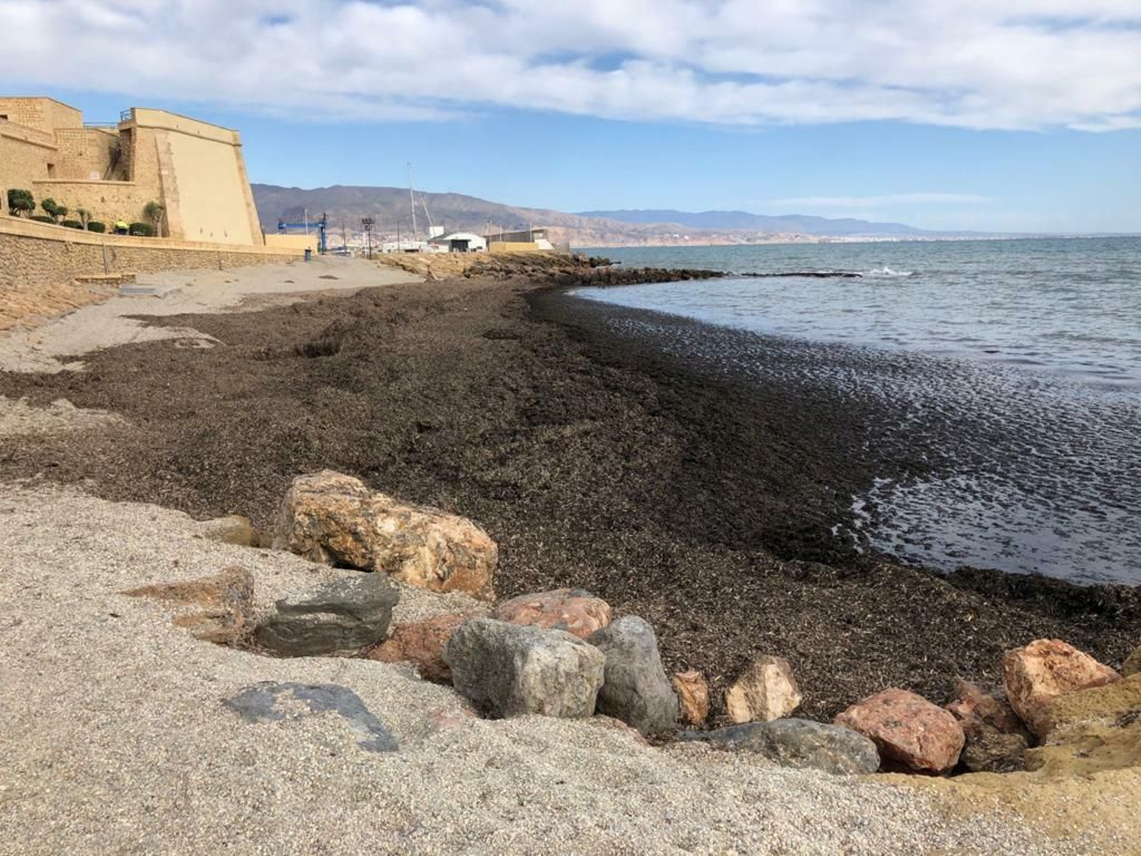 Acumulación de algas en la playa, junto al Castillo de Santa Ana de Roquetas.
