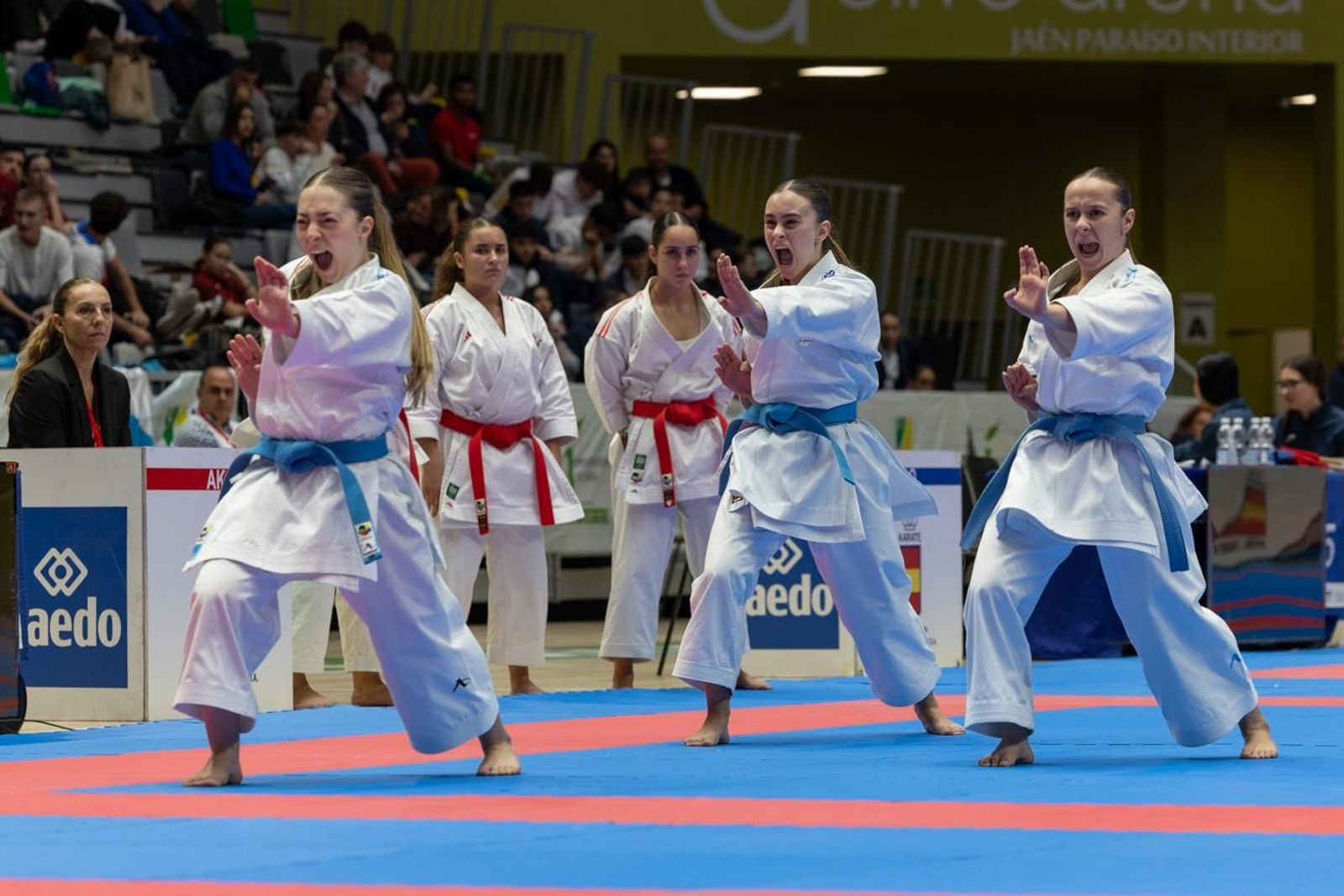 Campeonato de España de Kárate cadete, júnior y sub 21 brilla en Jaén