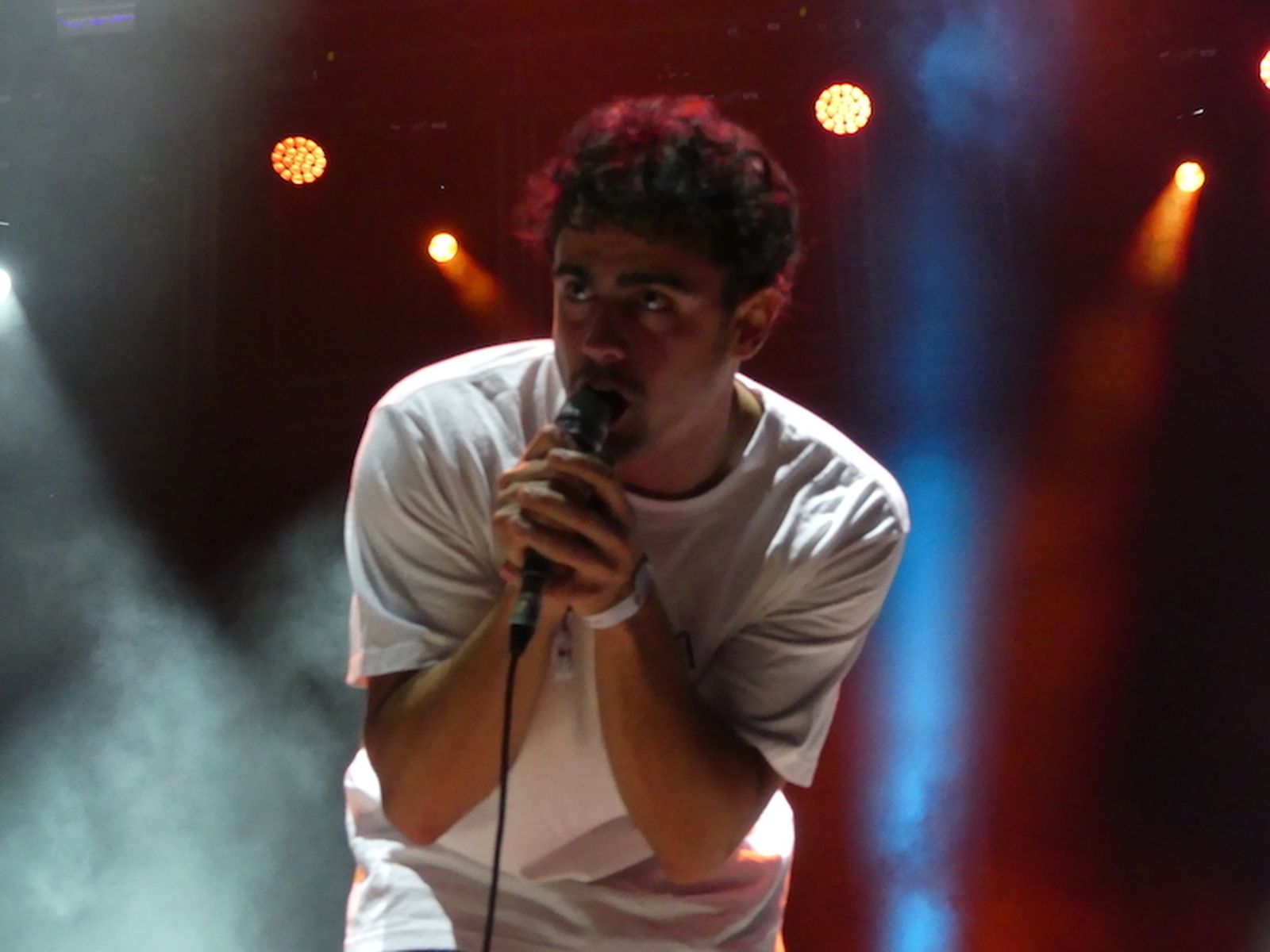 El vocalista del grupo Carolina Durante durante uno de sus conciertos.