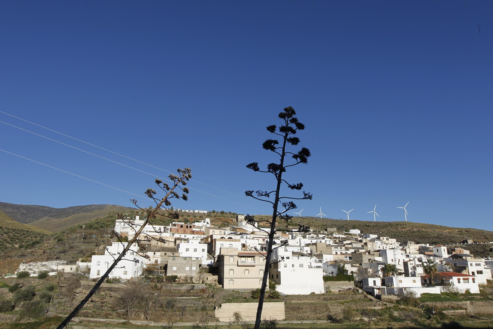 Fiestas Patronales de Escúllar