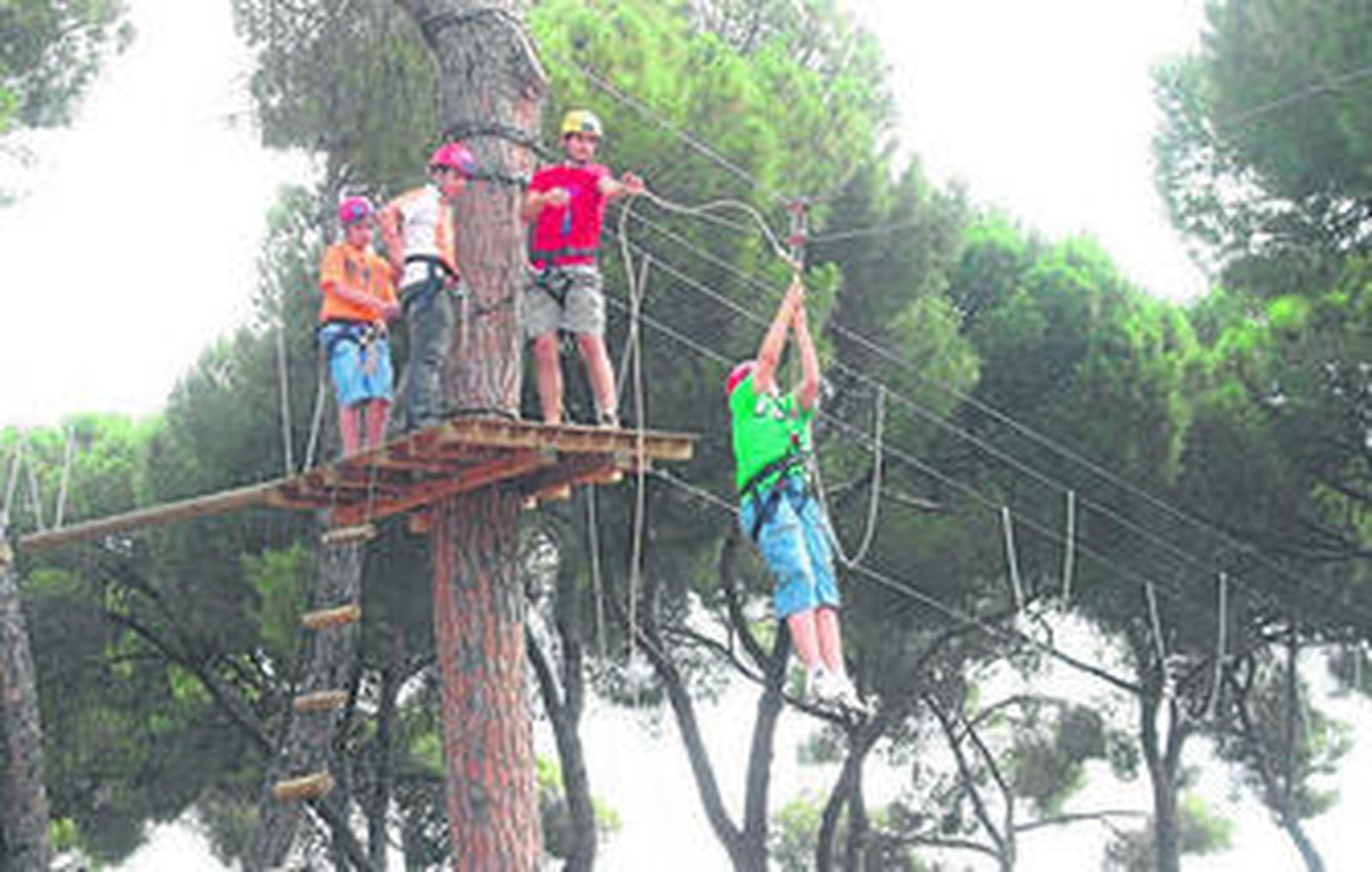 La Reserva de El Castillo de las Guardas propone recorridos en tren y en coche por sus instalaciones.