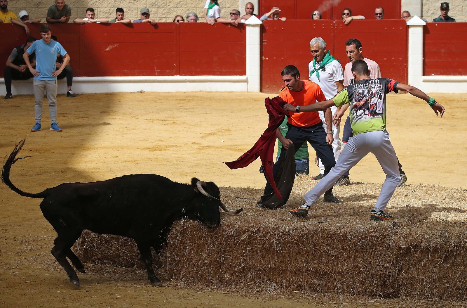 Fotos del Toro Embolao en Los Barrios