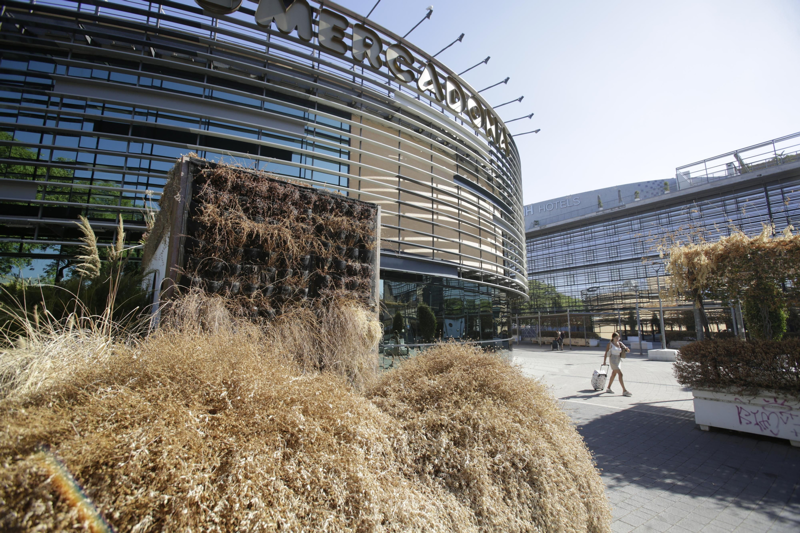 Abandono y mal estado de la plaza entre Mercadona y Plaza de Armas