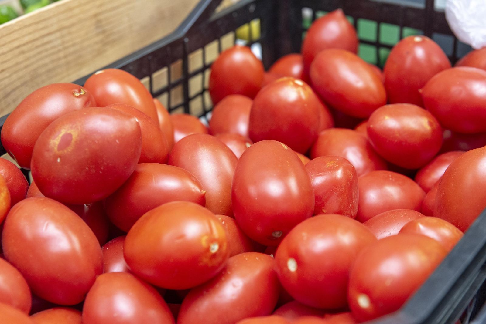 Fotos de los comercios en el mercado Diego Ponce en San Roque