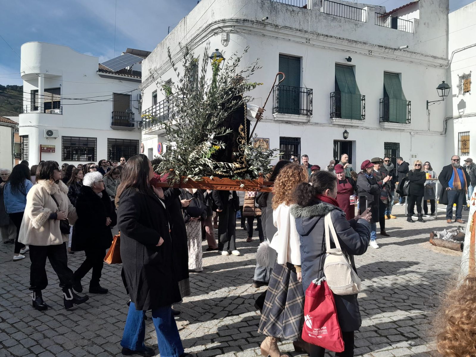 Celebración de San Antonio Abad en Obejo