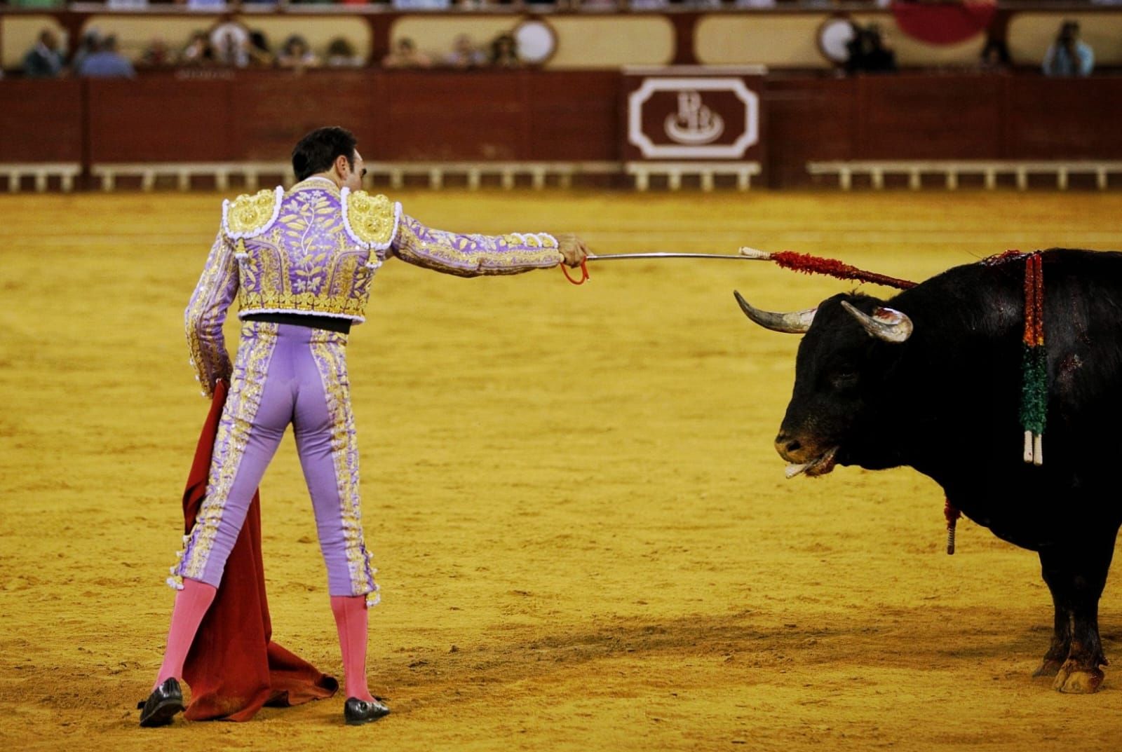 Imágenes de la despedida de Enrique Ponce en la plaza de toros de El Puerto