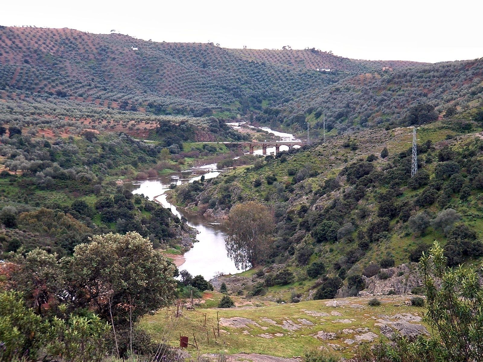 Detalle del pantano de El Arenoso.