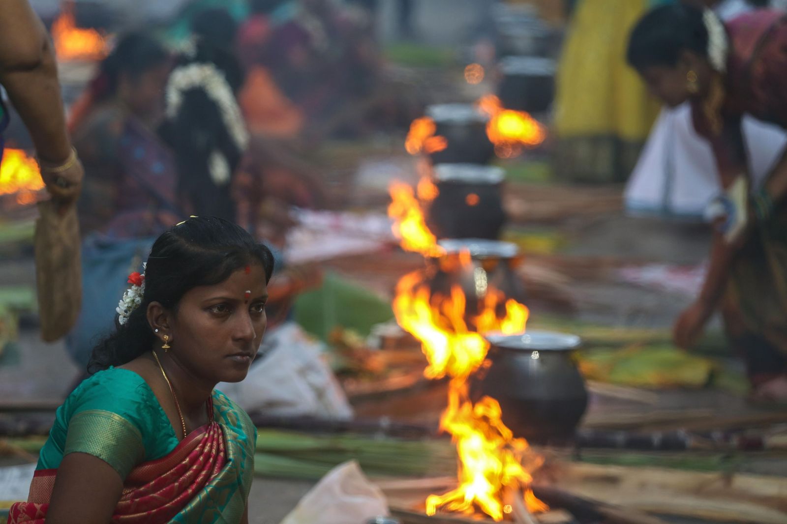 Las preciosas imágenes del Festival Thai Pongal en India