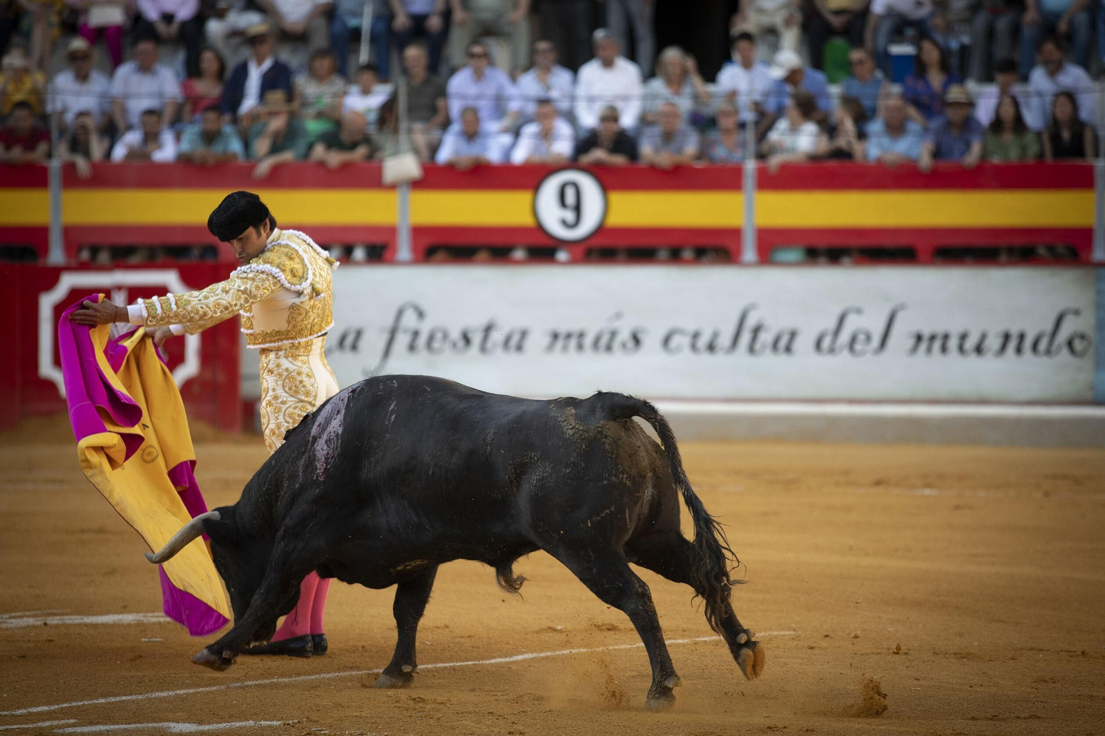 Pereda y Aguado triunfan en Granada