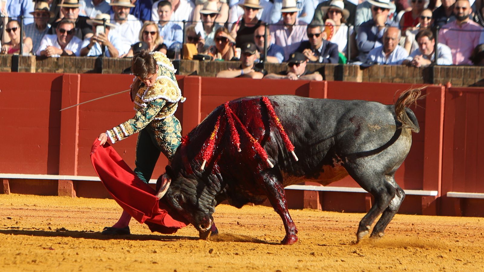 Pase de pecho del Juli al cinqueño que abría plaza, de toda la suelta el que más sirvió para la muleta.