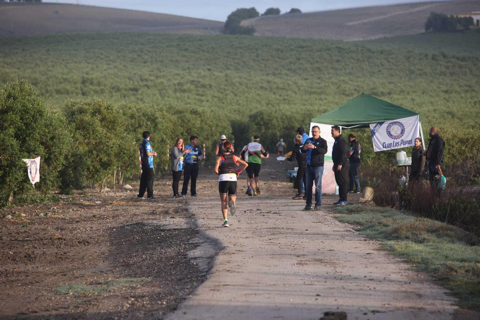 Imágenes de la V Sherry Maratón de Jerez