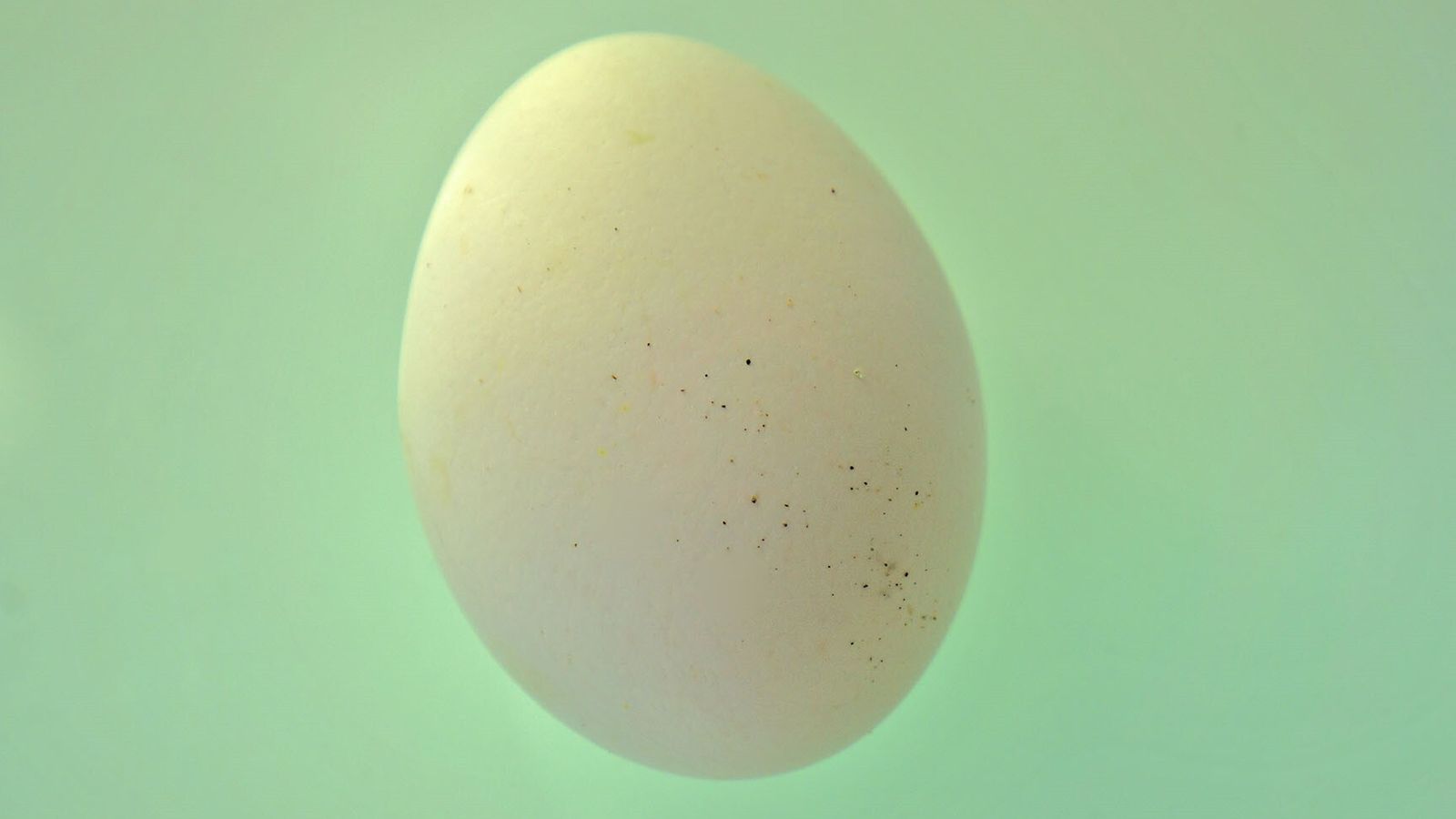 Otra obra de Inés Gontad.