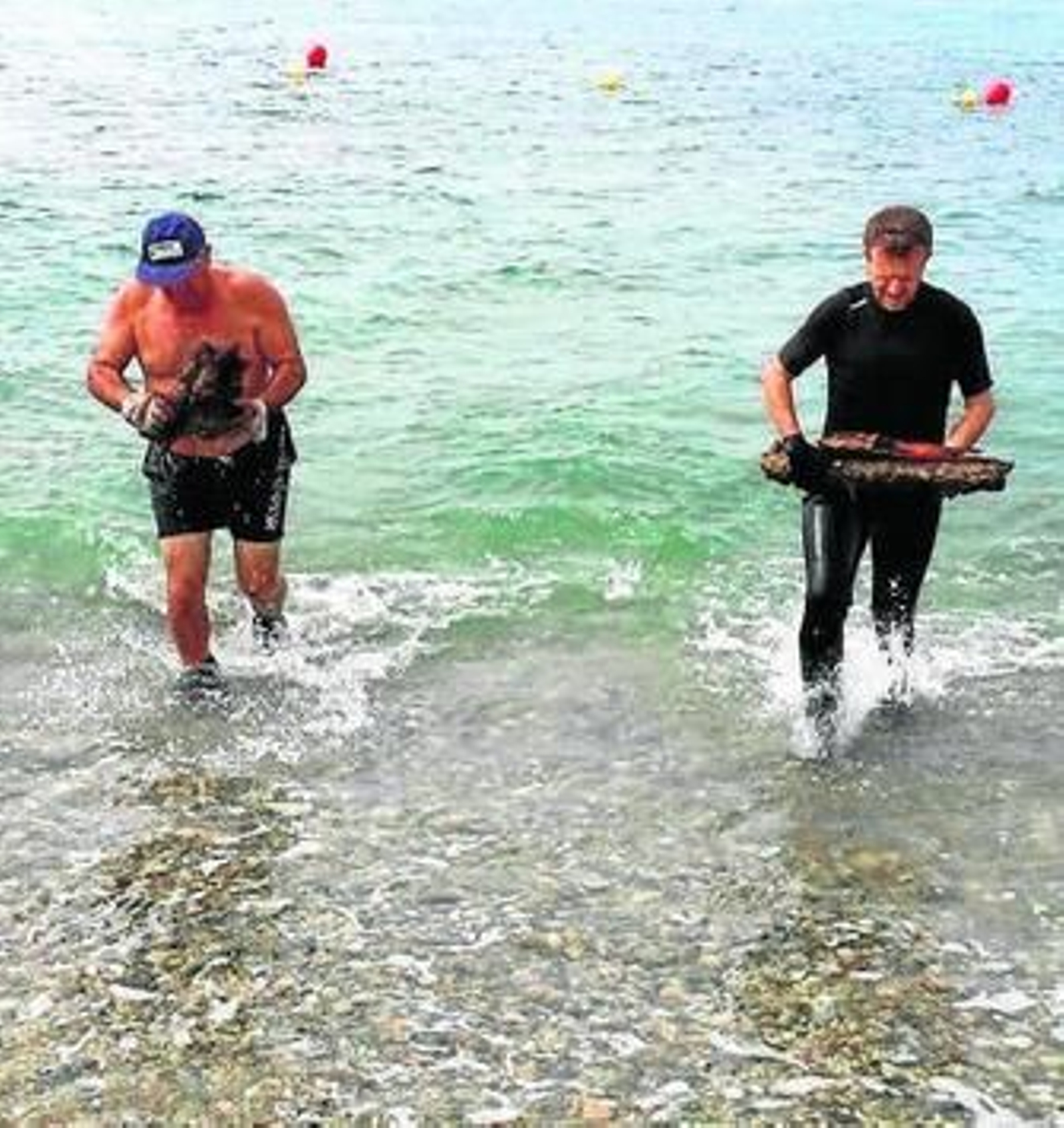 Trabajadores de Tragsa descargan en la orilla de la playa una vez segados.