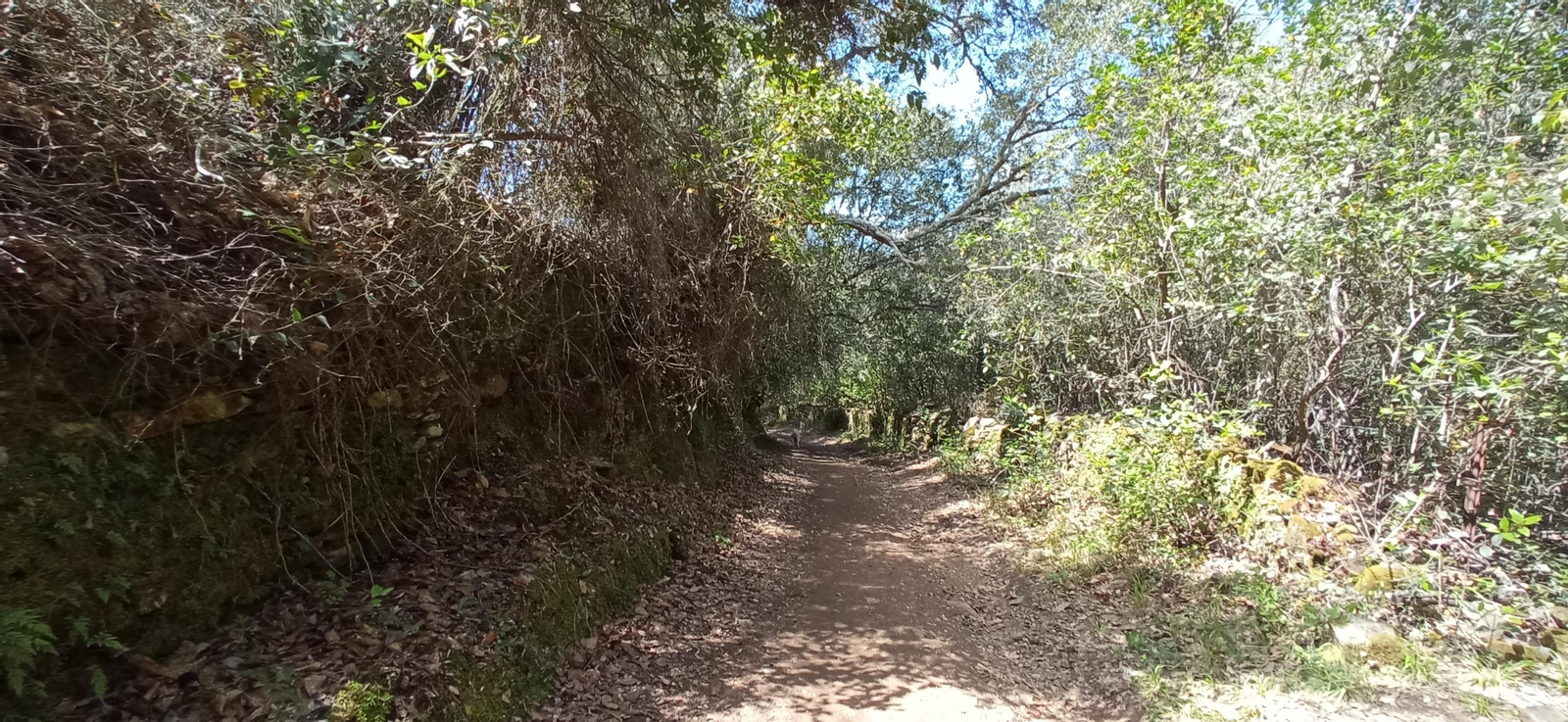 Las imágenes de la ruta de las casas de los Tres Cerditos