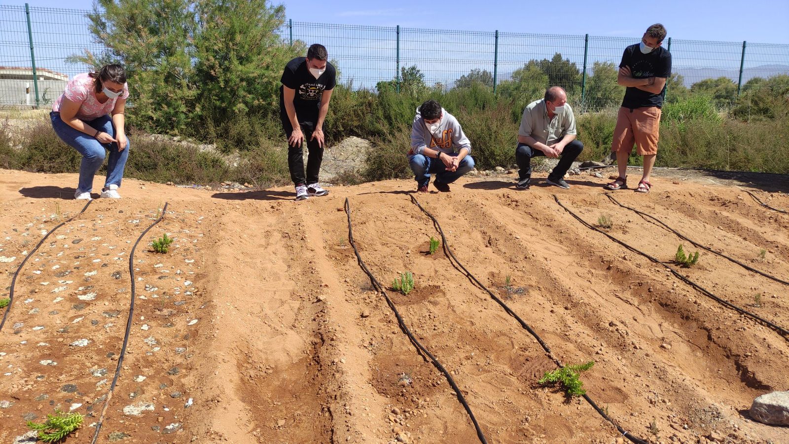 Jardines experimentales de biocostras generados por investigadores de la UAL.