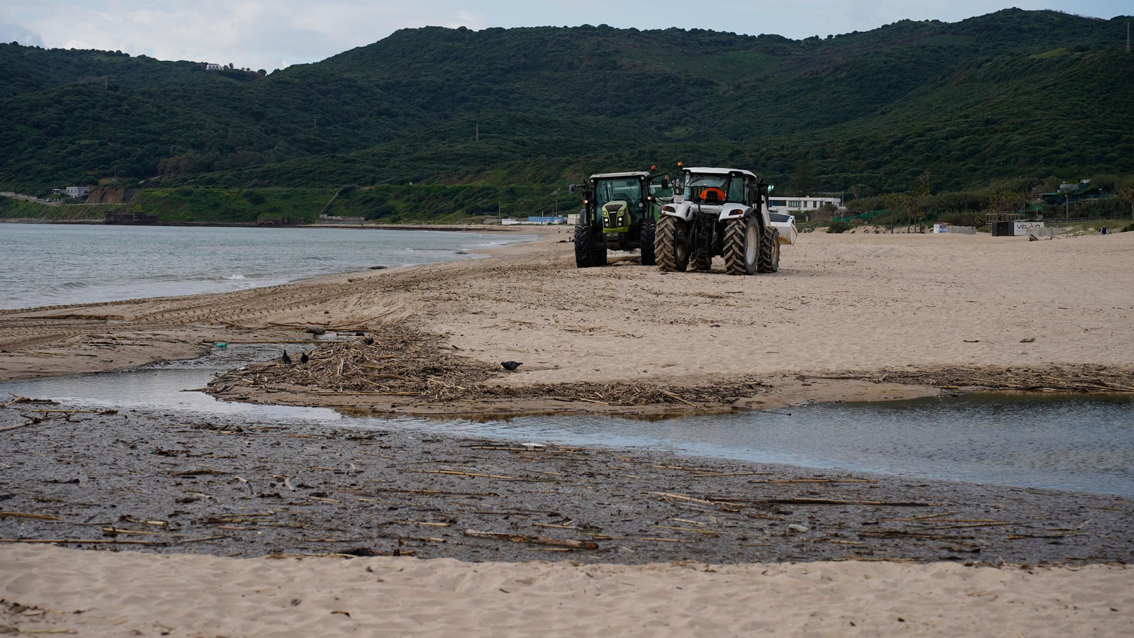 Fotos de la playa de Getares llena de cañas y desechos