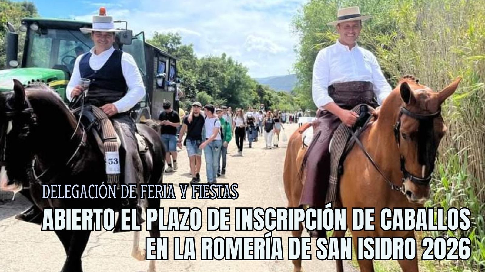 Ya está abierto el plazo de inscripción de caballos para la Romería de ...