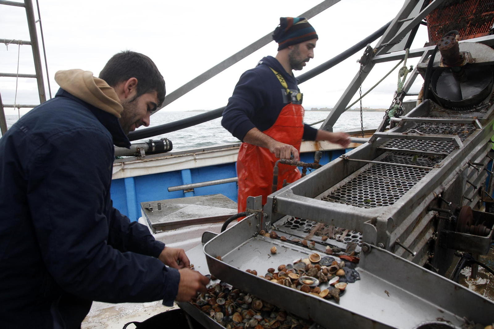 Mariscadores de la chirla en una embarcación con draga hidráulica.
