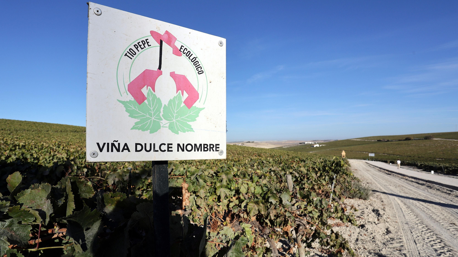 Asoleo de Pedro Ximénez en González Byass