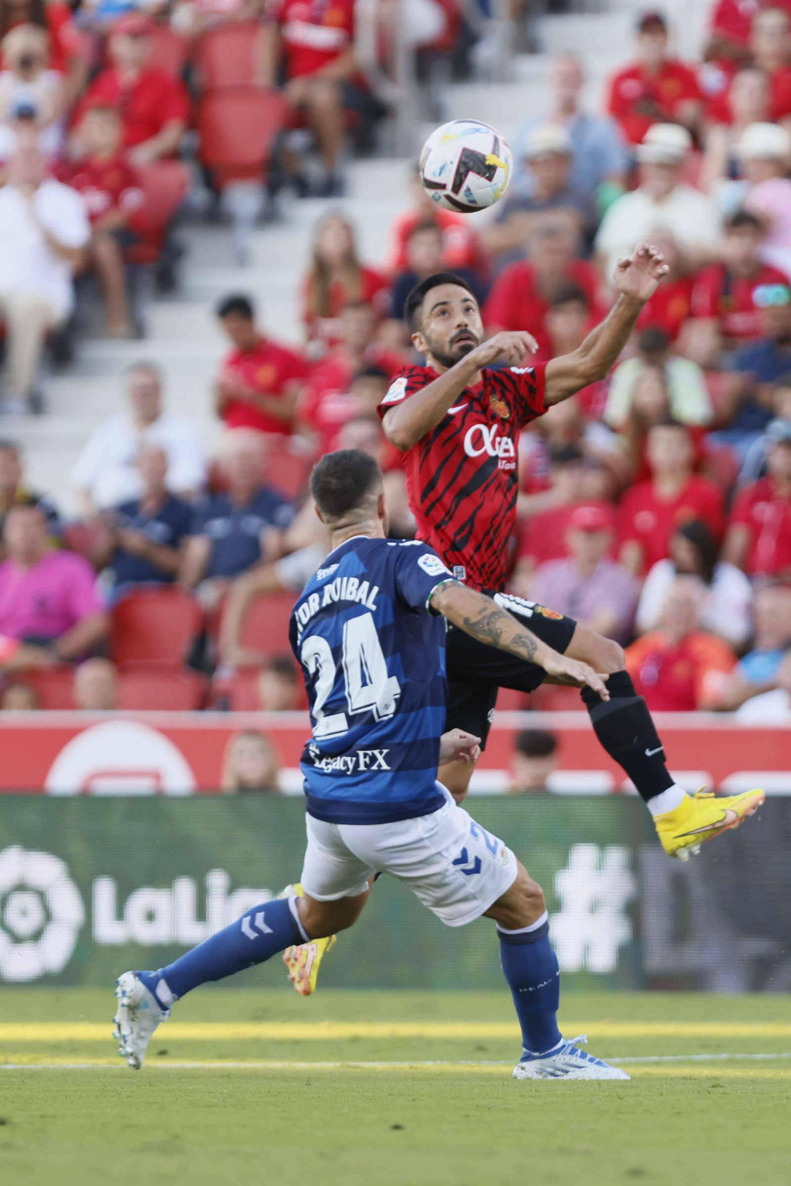 Las fotos del Mallorca-Betis de Liga