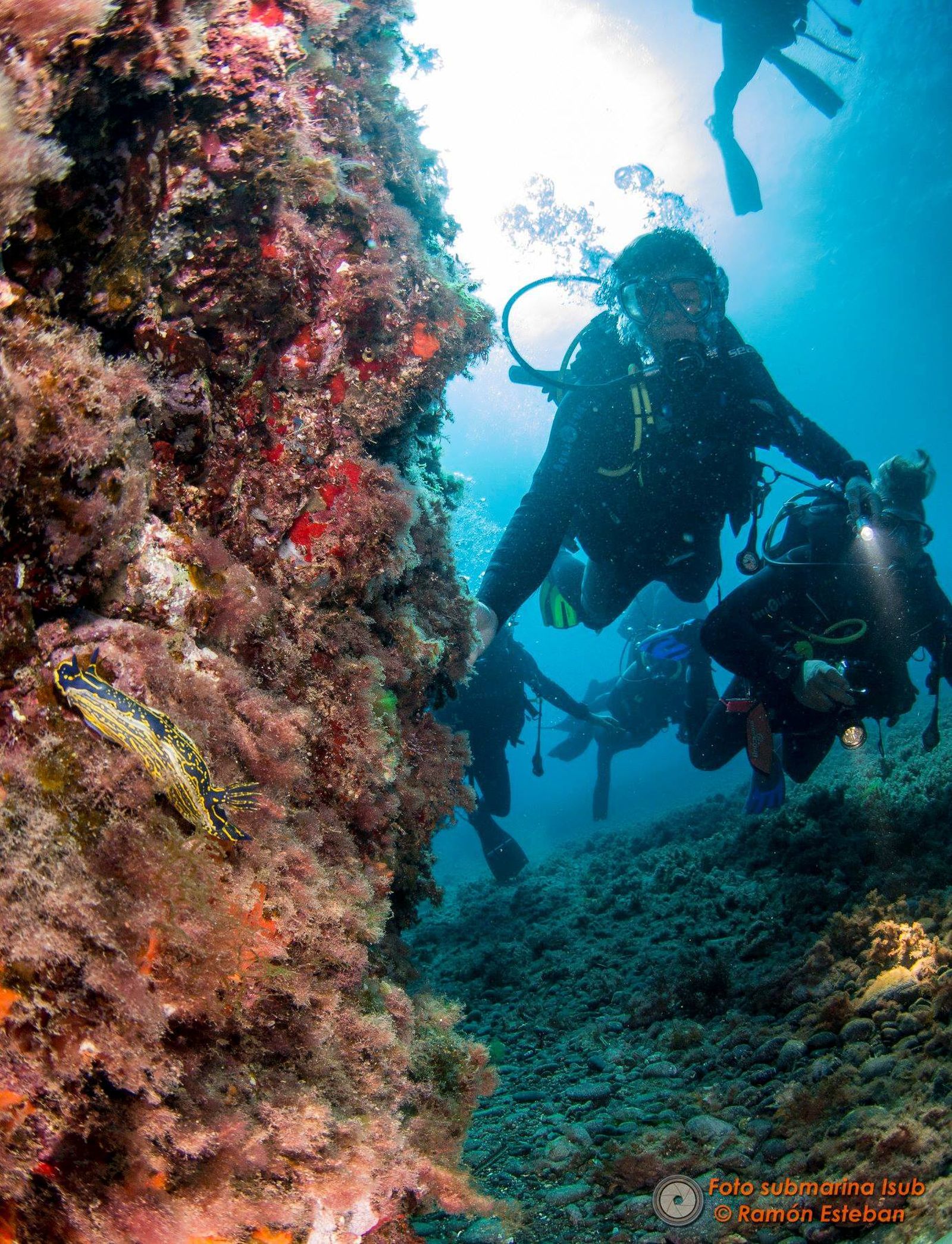 El turismo   submarino actualiza y moderniza su reglamentación