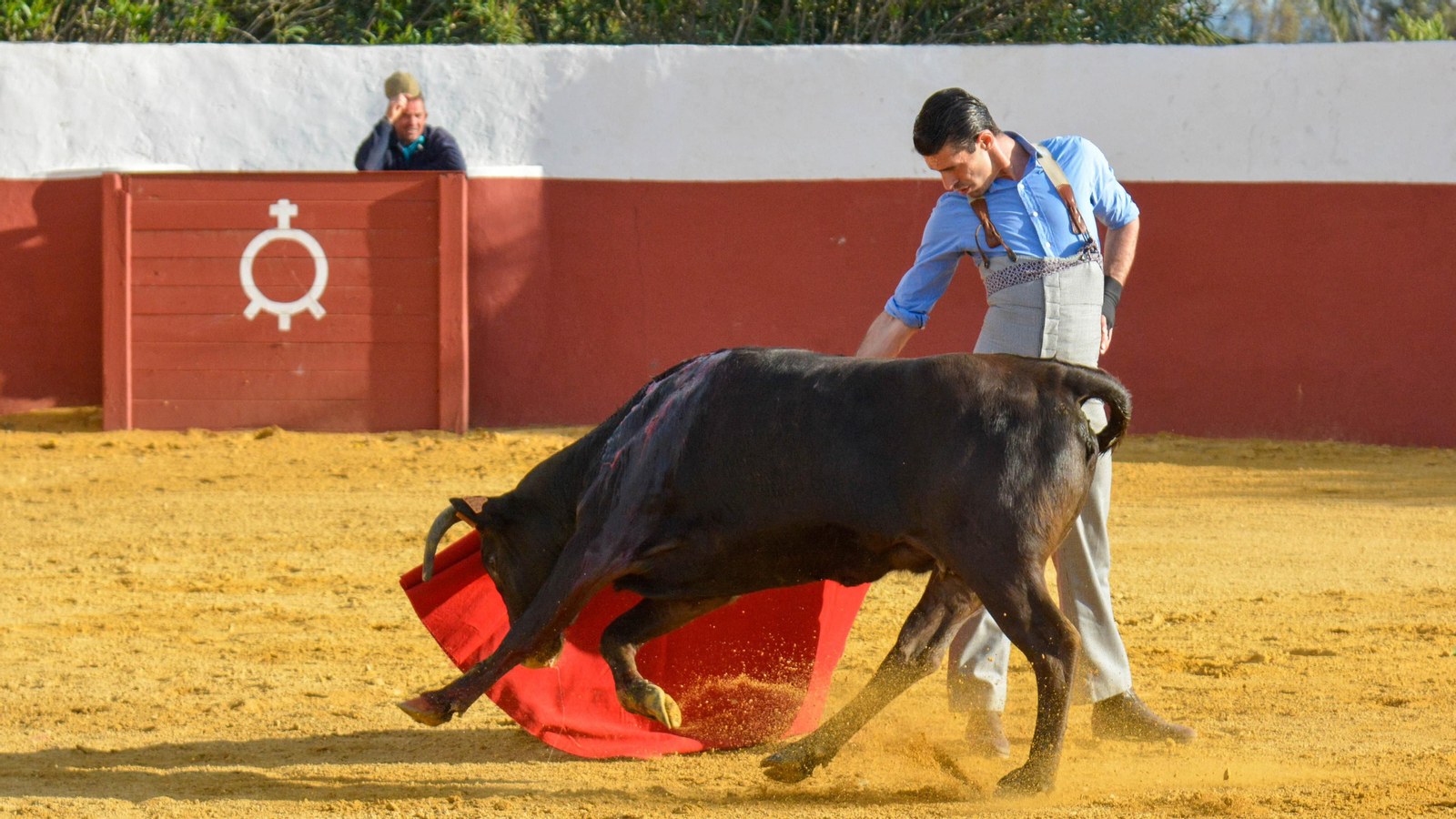 Tentadero con Talavante en la finca La Palmosilla