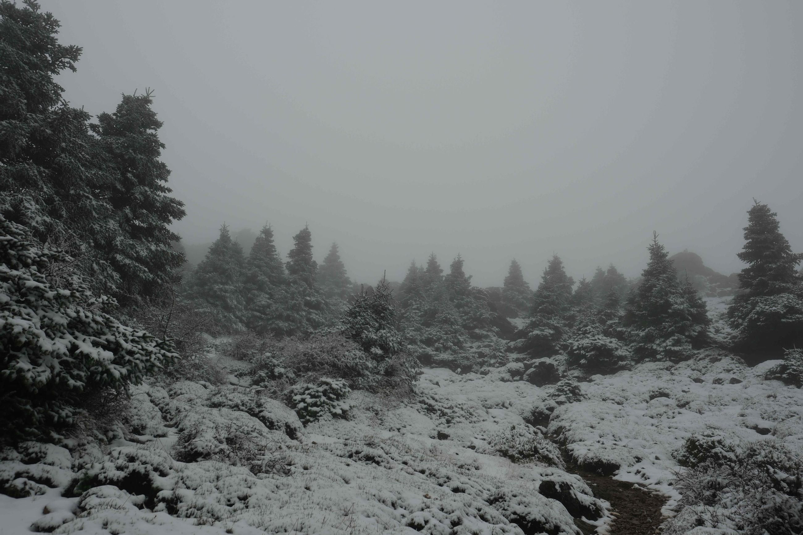 Estampa invernal en al Parque Nacional Sierra de las Nieves, en imágenes