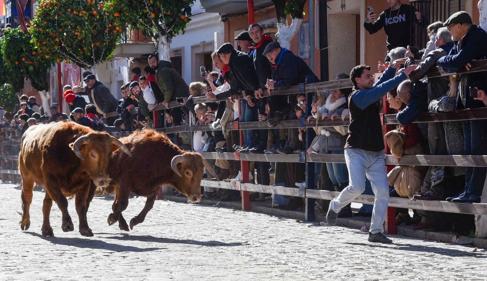 Las imágenes de los festejos de San Sebastián en La Puebla del Río 2026