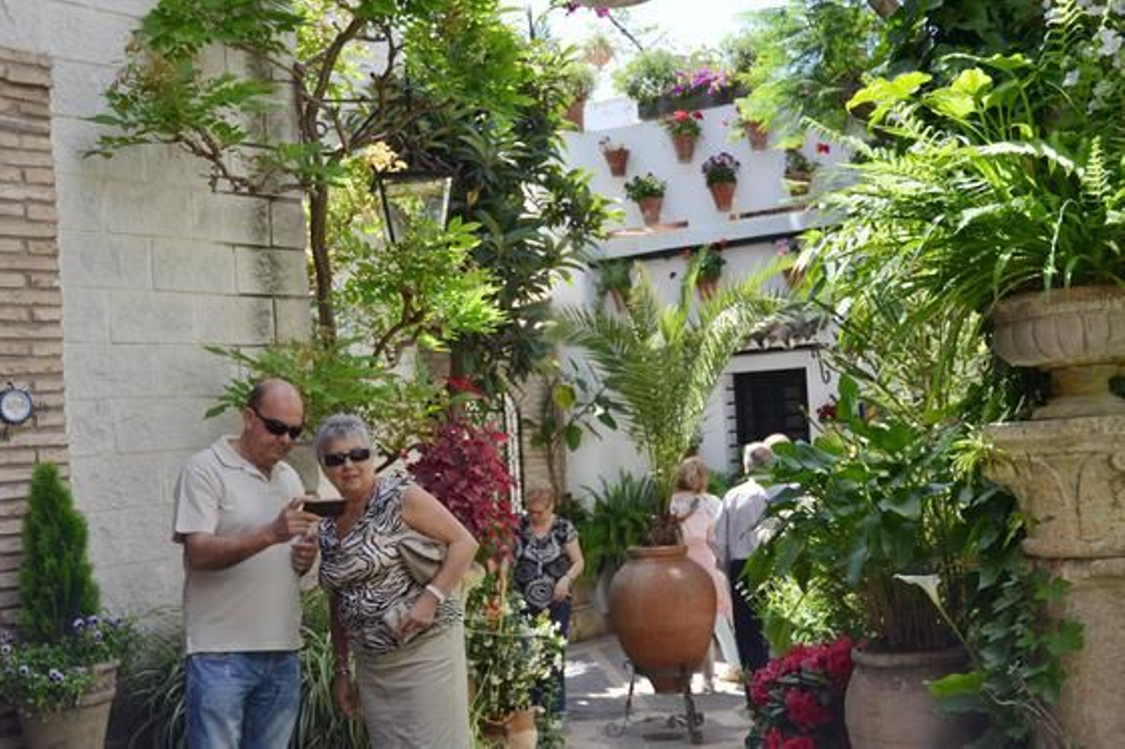 Aceite.

Foto: Alex Gallegos / Macarena Gassin