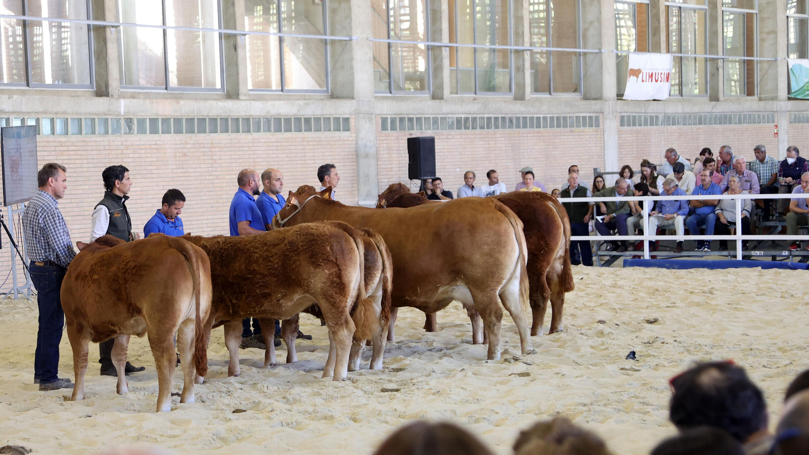 Gran afluencia de público en la clausura de Fegasur