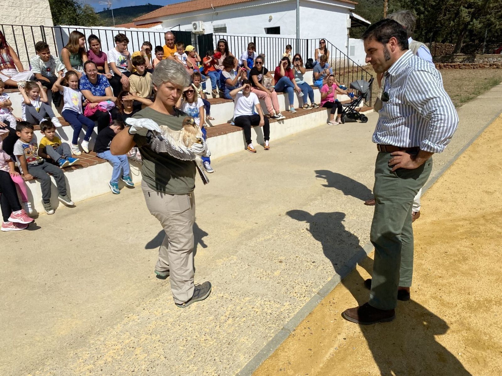 La Junta suelta en Cañaveral de León un águila calzada rehabilitada en Marismas del Odiel