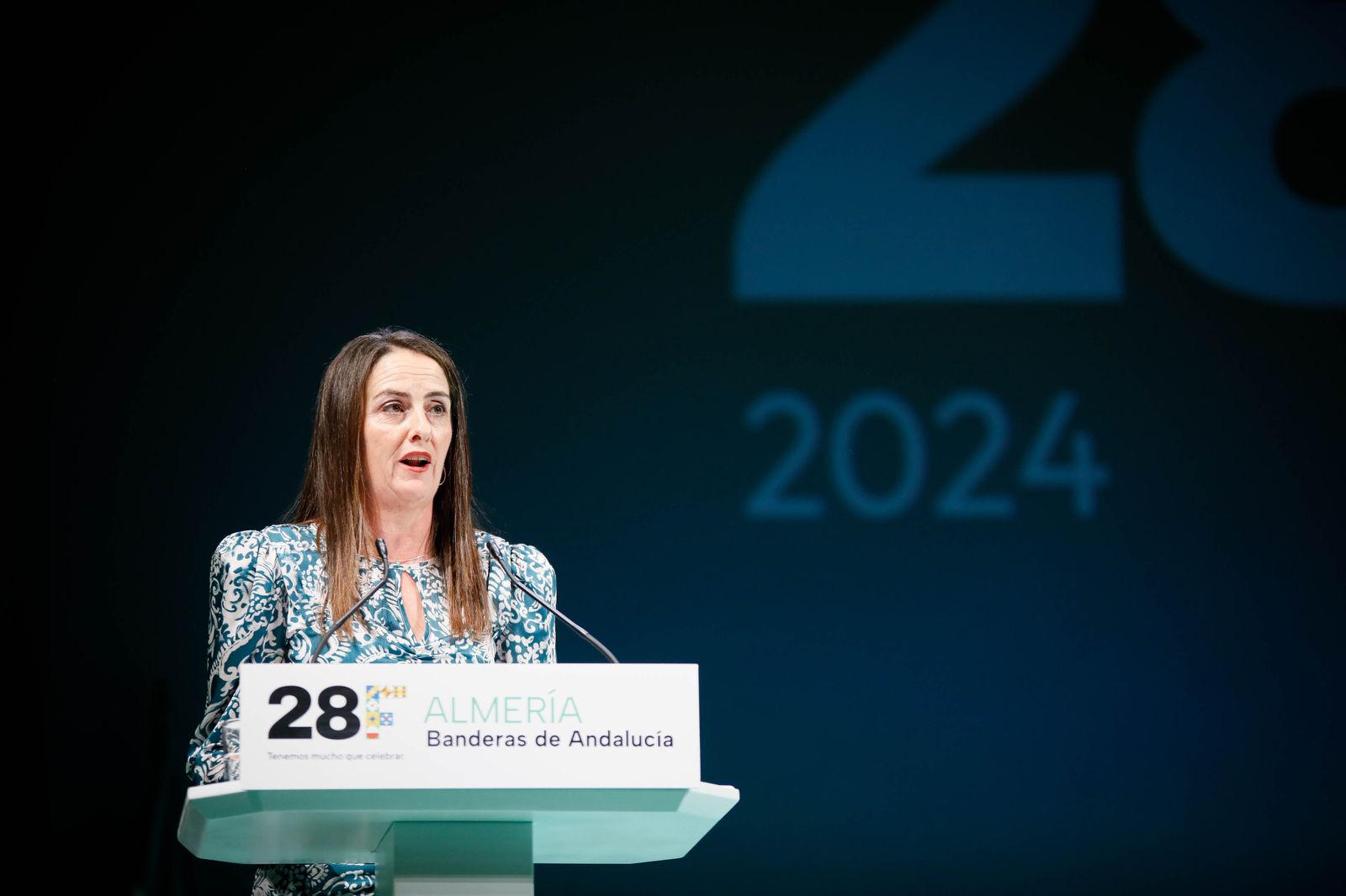 Imágenes de las entregas de las banderas de Andalucía