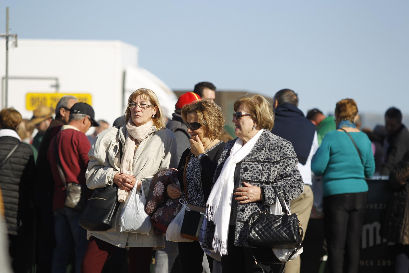 Fotogalería Romería de Torregarcía. Almería