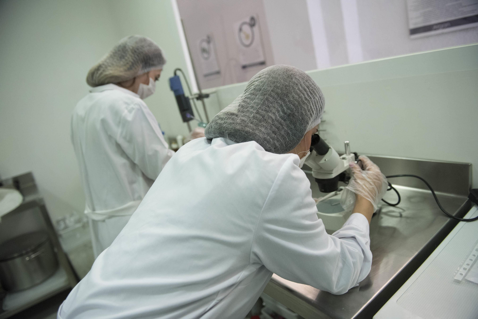 El equipo de Ab7 trabaja en el laboratorio para conseguir las fórmulas personalizadas, así como las de la marca Abelay.