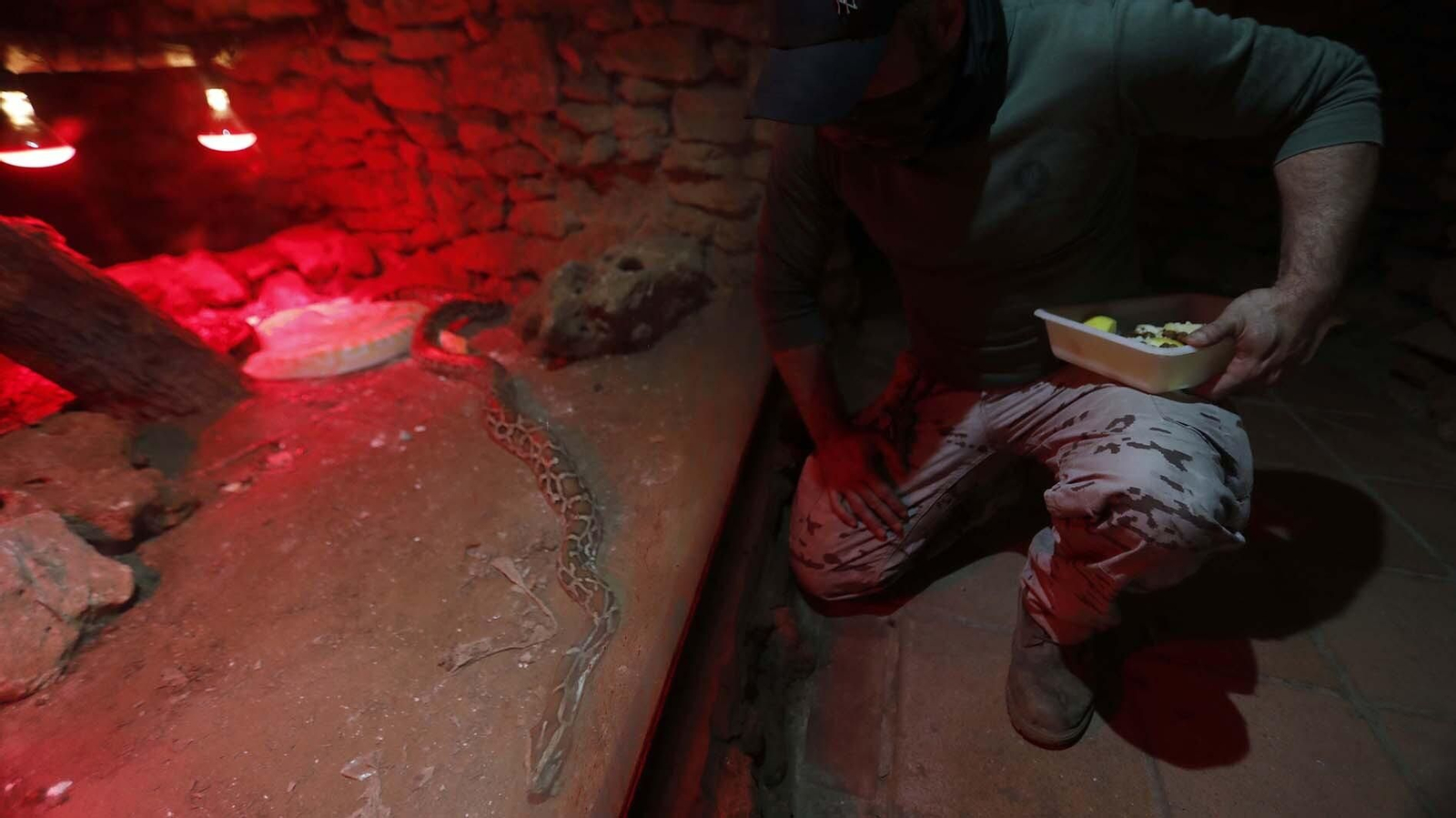 Las fotos del Zoo de Castellar de la Frontera