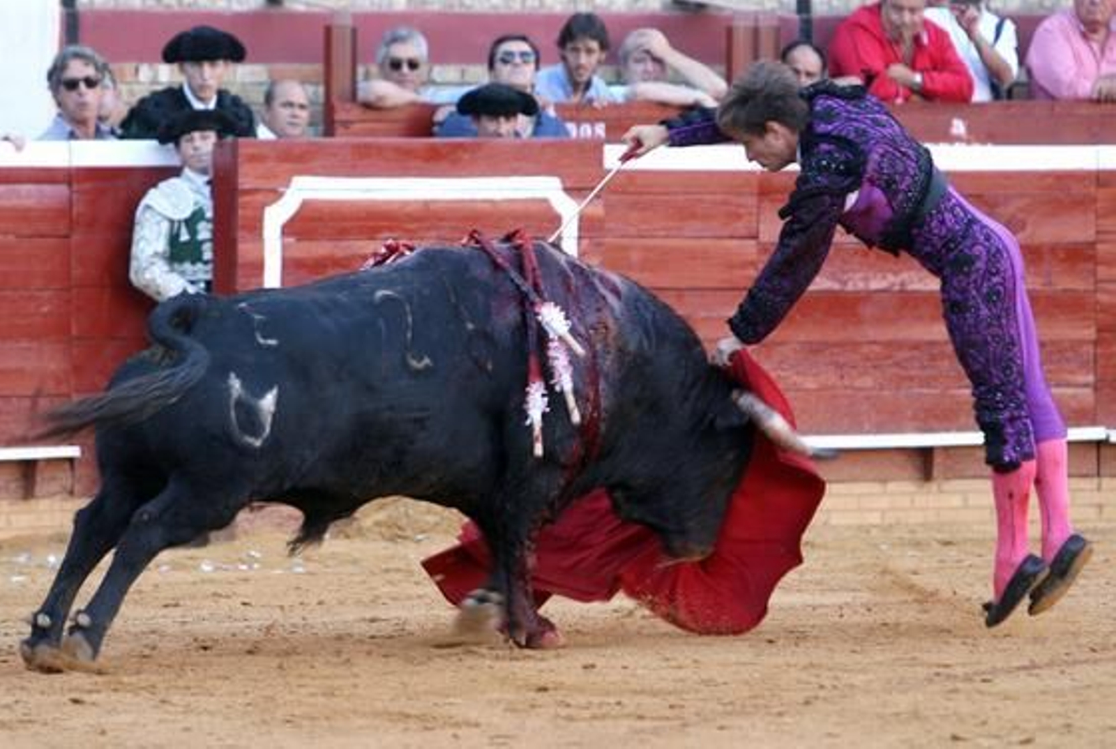 El Juli y Talavante se dan cita en la Merced en una tarde triunfal para ambos.

Foto: Espinola
