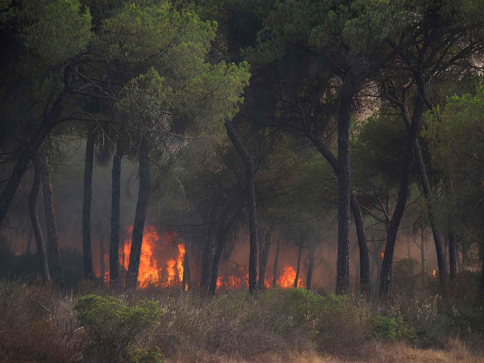 Un incendio forestal amenaza el extenso pinar del Campo Común de Abajo de Cartaya